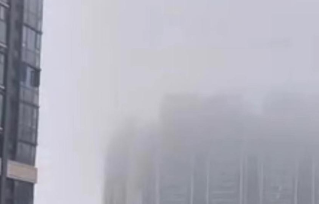 广州多区大雾黄色预警生效，家长：再大的雾，也能找到学校